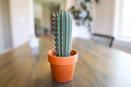 Cactus Distributeur De Cure-Dents